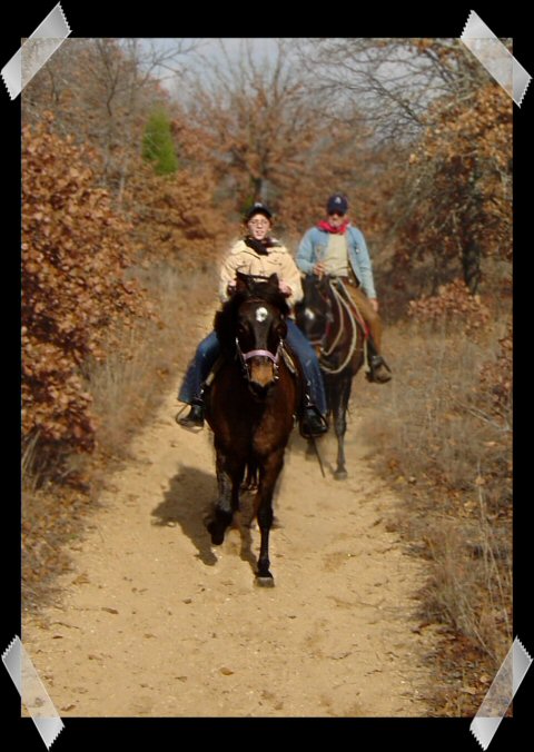 Trail Riding Peruvian Paso geldings at Sportsmans Lake Equestrian Riding Trails